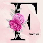 Fuchsia Gifts