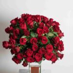 فازة الجوري المبهرة - 2