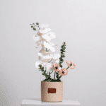 فازة ترافنتينو