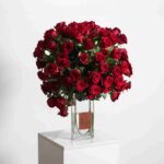 فازة الجوري المبهرة