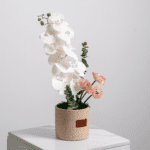 فازة ترافنتينو - 1