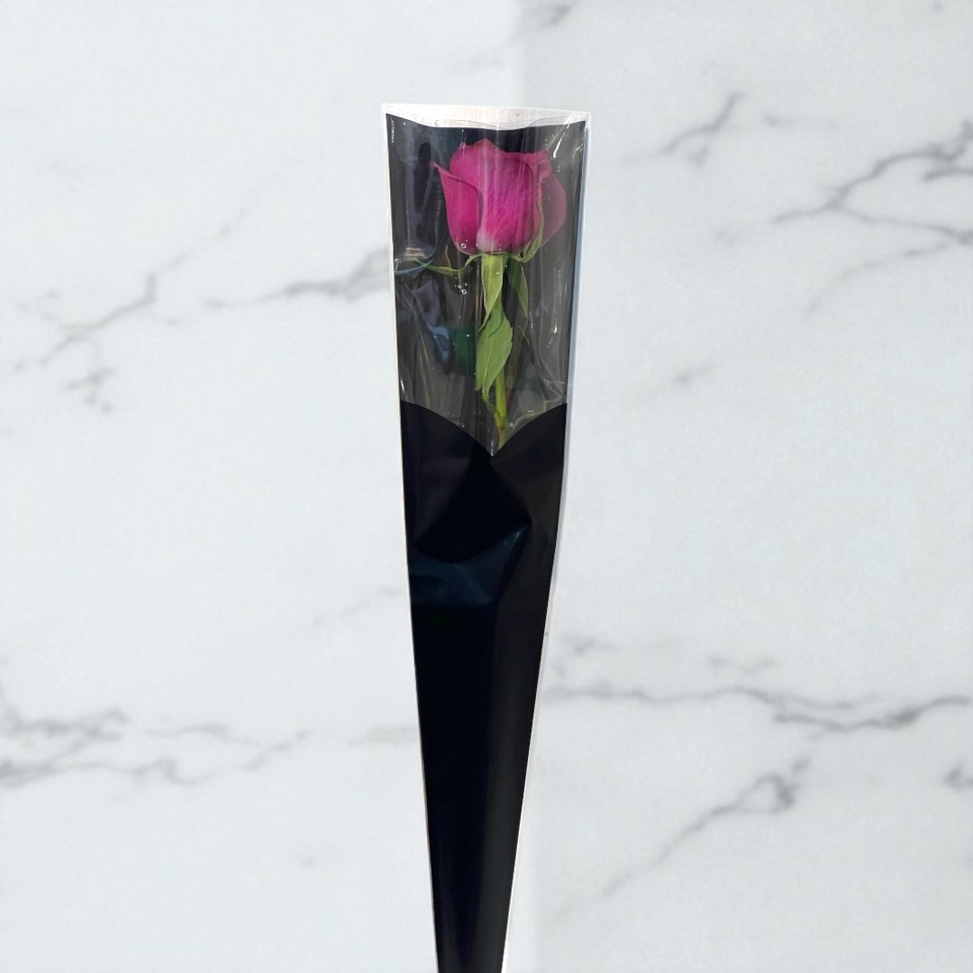 Photoroom_١٤٤٧٠٢١٧_١٠٤٧٠٤ روز بلوبيري