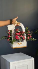 شيال برانشيز