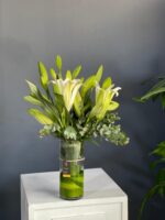 زهرة الكازابلانكا - 1