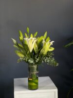 زهرة الكازابلانكا