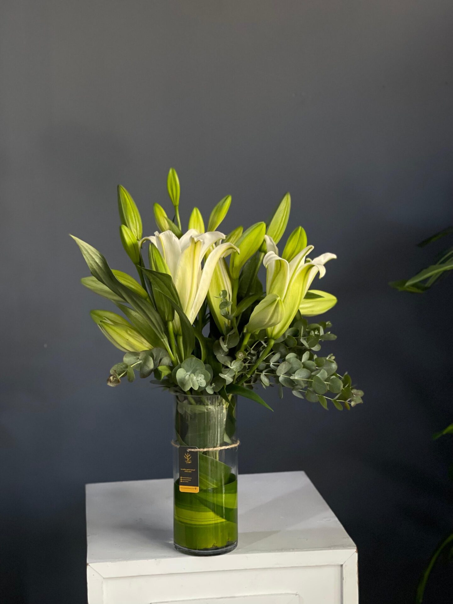 صورة واتساب بتاريخ 1447-03-23 في 11.24.08_8b974715 زهرة الكازابلانكا