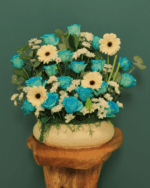 فازة رونق – تناغم الجمال والبهجة