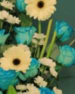 فازة رونق – تناغم الجمال والبهجة - 1